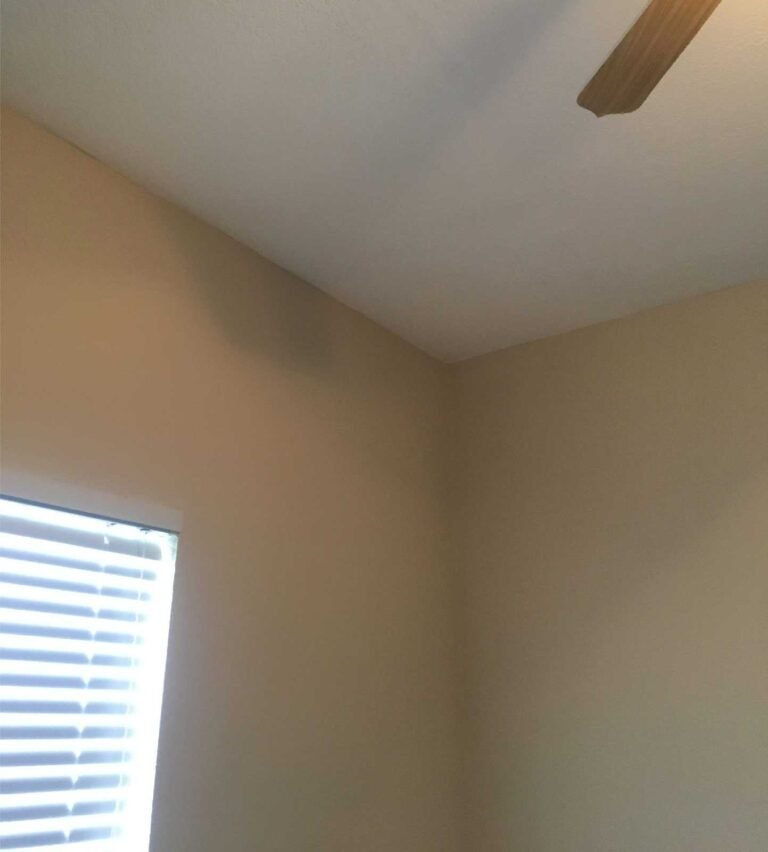 Drywall repair repipe orlando 10